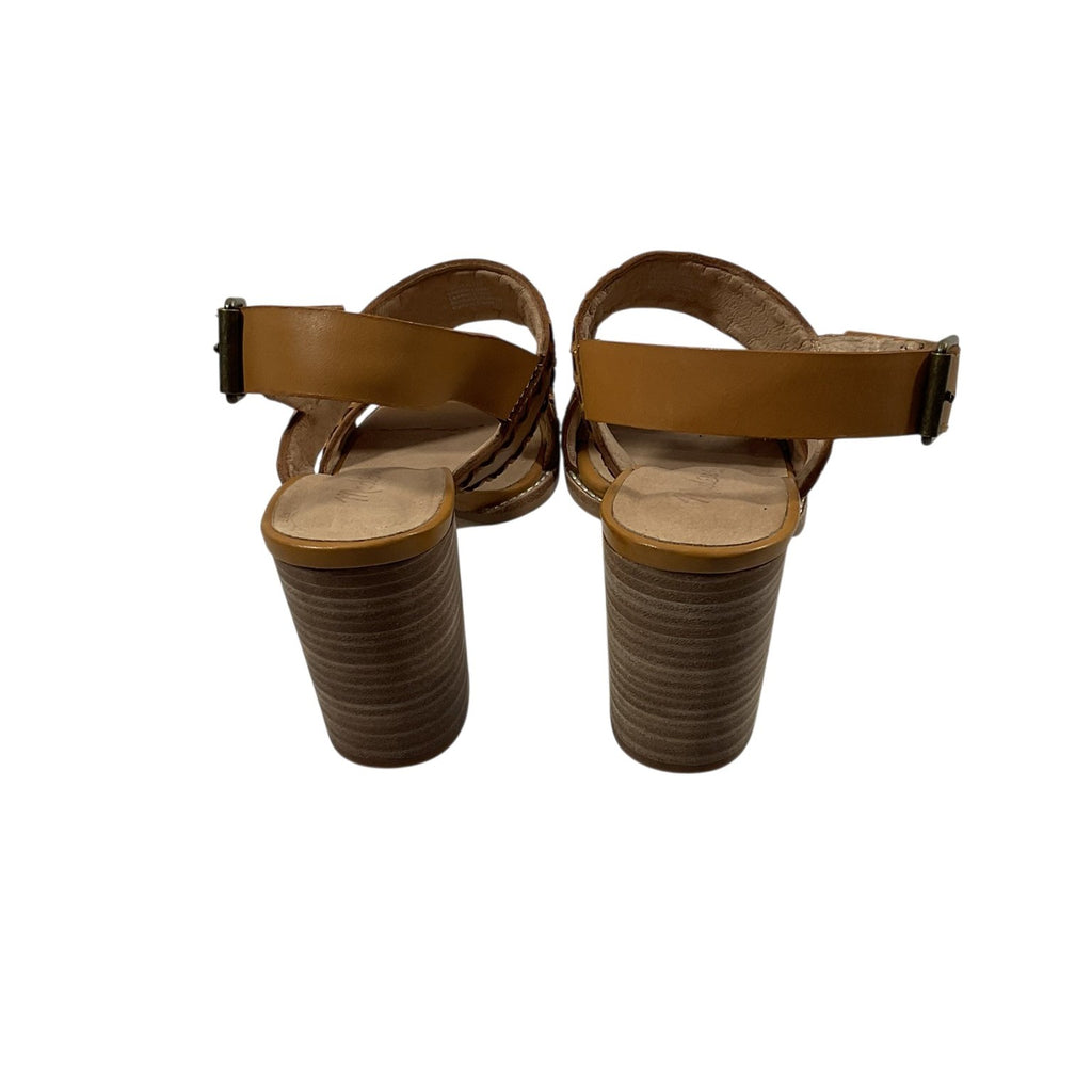 Pair of brown sandals with a white background